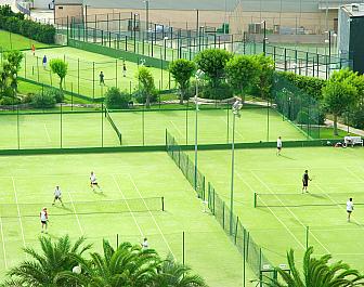 Tenis