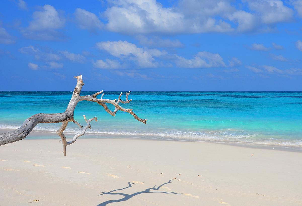 Bird Island Dovolená 2022 CK FISCHER